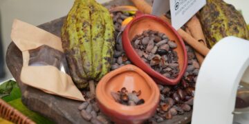 Sacos de cacao dominicano listos para exportación en un almacén de República Dominicana
