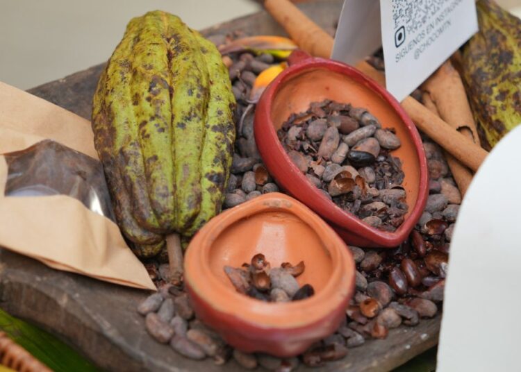 Sacos de cacao dominicano listos para exportación en un almacén de República Dominicana