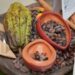 Sacos de cacao dominicano listos para exportación en un almacén de República Dominicana