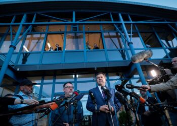 Simpatizantes de AfD celebran la victoria electoral en Sajonia-Anhalt, Alemania oriental
