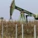 Plataforma de extracción de petróleo con barriles y precio del WTI en pantalla