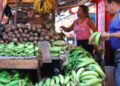 Racimos de plátanos verdes en un mercado dominicano con precios en carteles