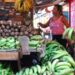 Racimos de plátanos verdes en un mercado dominicano con precios en carteles