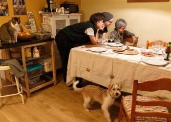 Familias latinoamericanas en zona periurbana frente a viviendas precarias con déficit habitacional