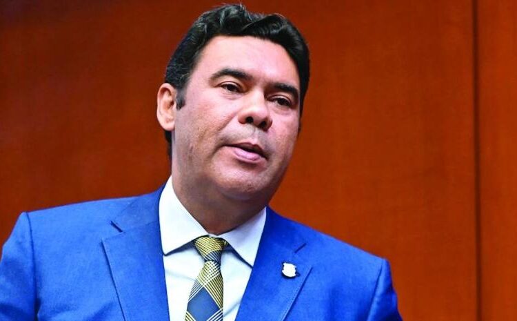 Senado de la República Dominicana durante sesión de aprobación del aplazamiento de sanciones penales a empresas