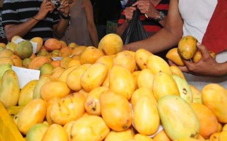 Ministro de Agricultura Francisco Oliverio Espaillat junto a técnicos de OIRSA en sesión de trabajo sobre exportaciones de mango dominicano