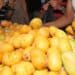 Ministro de Agricultura Francisco Oliverio Espaillat junto a técnicos de OIRSA en sesión de trabajo sobre exportaciones de mango dominicano